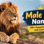 male lion names