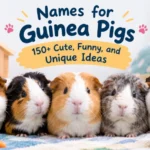 names for guinea pigs